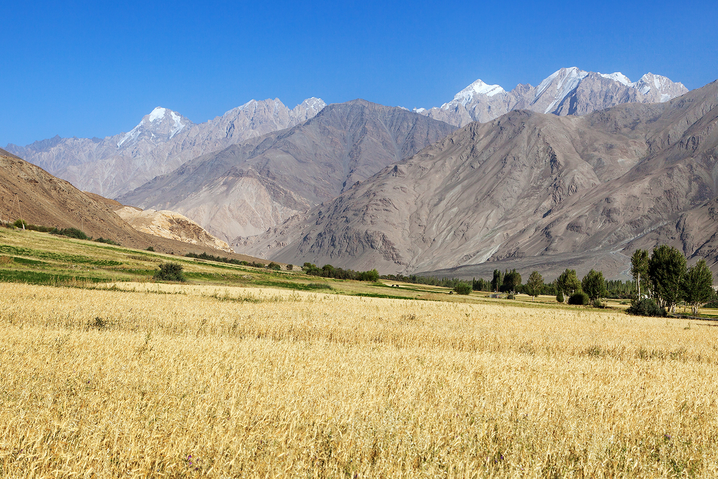 Wakhan Corridor vallei graanveld