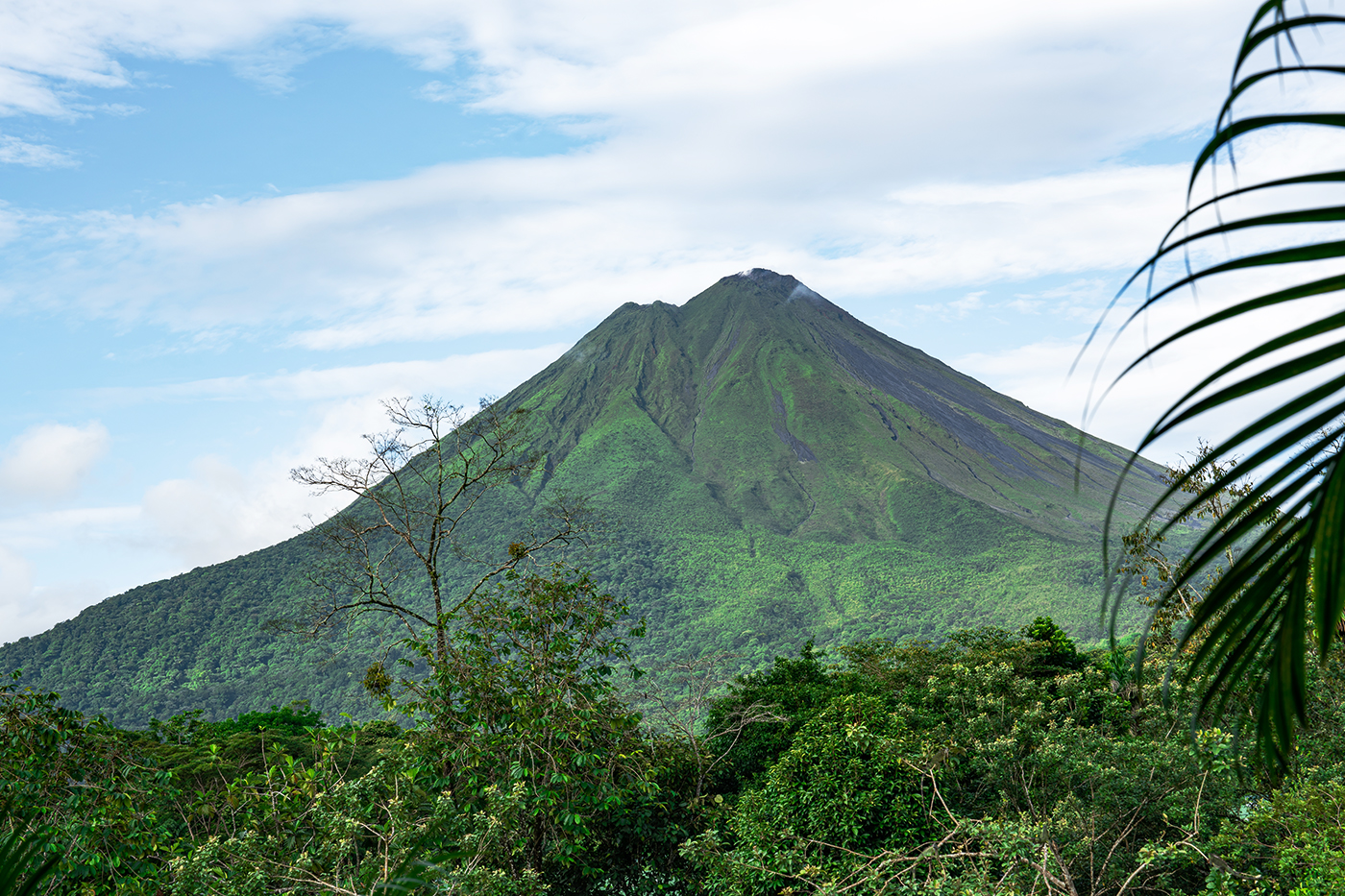 Vulkaan Arenal regenwoud Costa Rica
