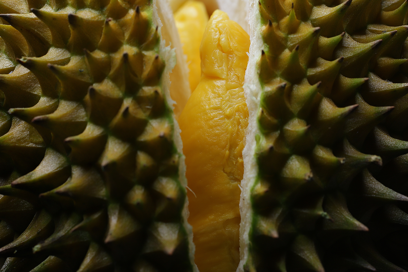 Durian vruchtvlees binnenkant