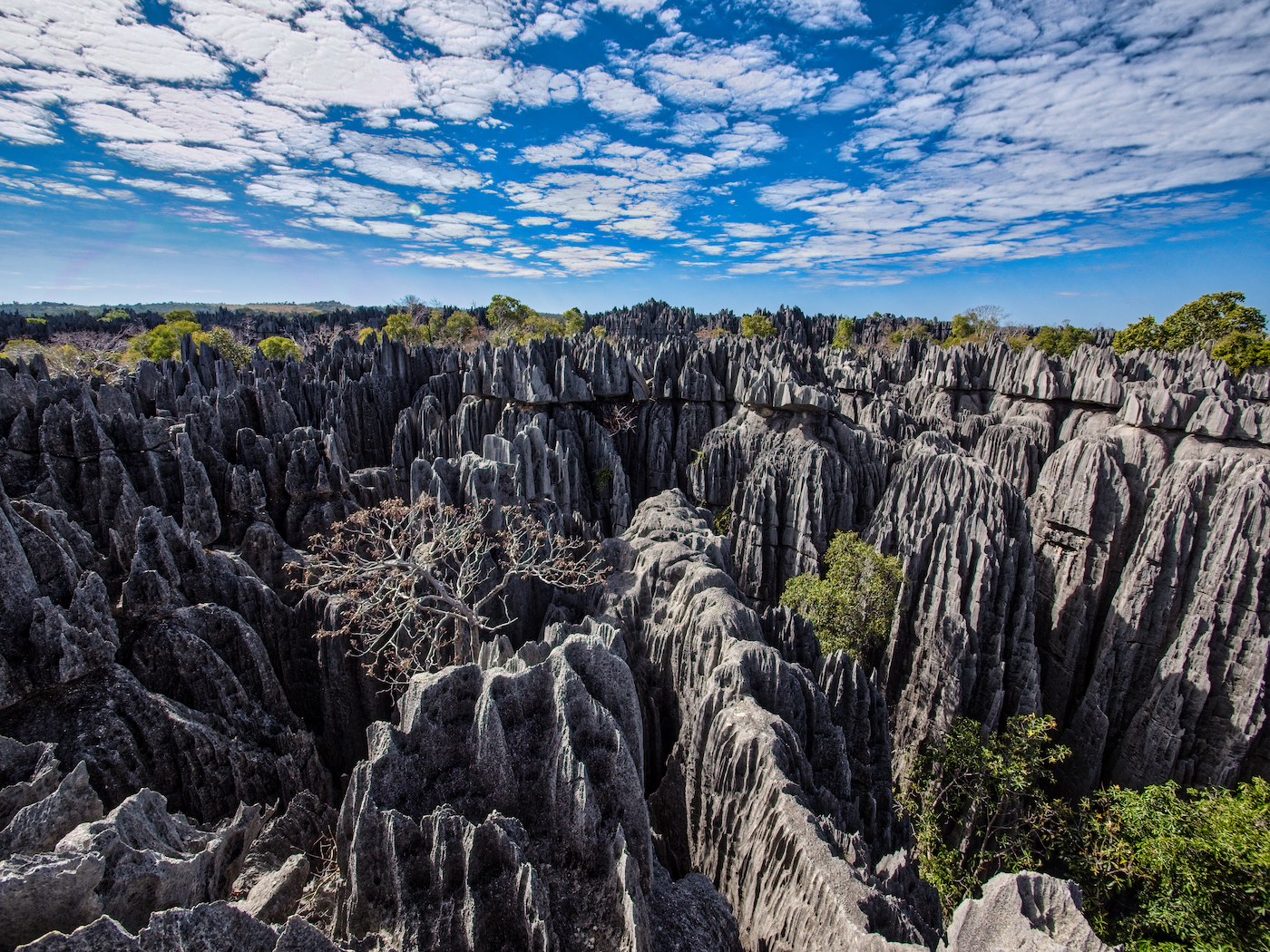 Tsingy de Bemahara, Madagaskar