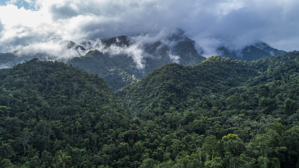 De mythe die geen mythe bleek: het verhaal van de verdwenen Hondurese junglesteden 