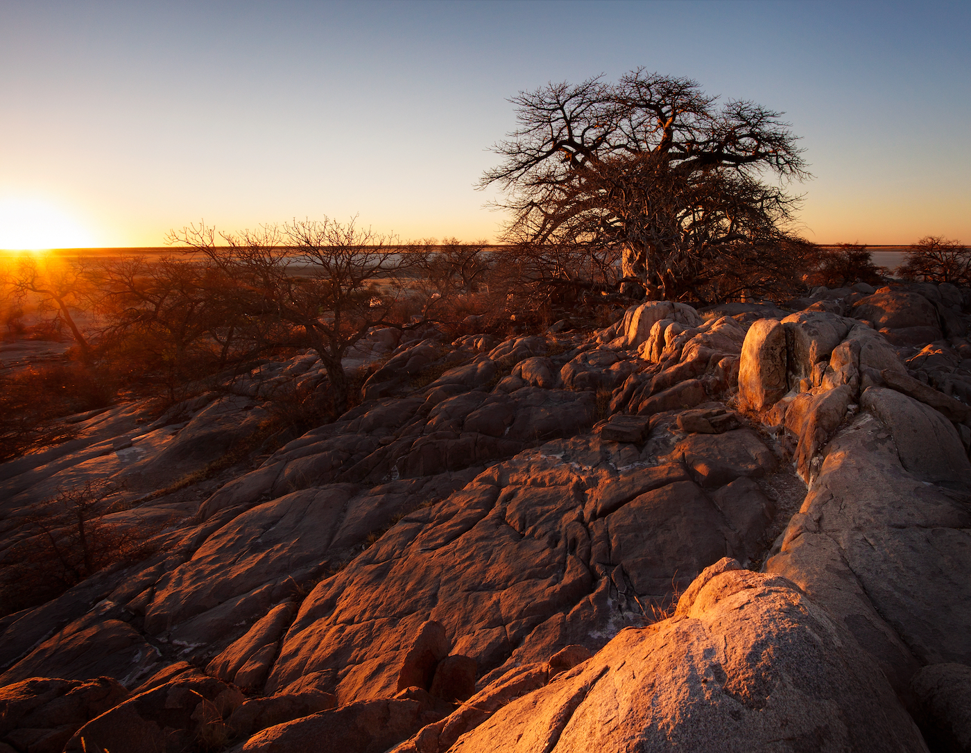 Kubu-eiland op Makgadikgadi