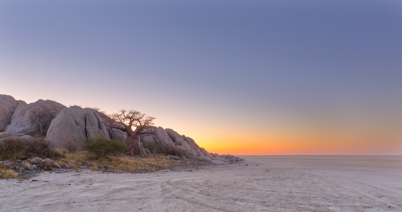 Kubu-eiland op Makgadikgadi met zonsondergang