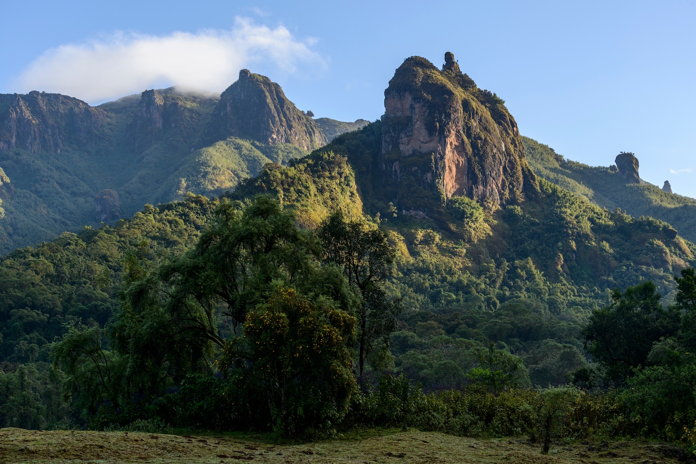 Bale Mountains in Ethiopië