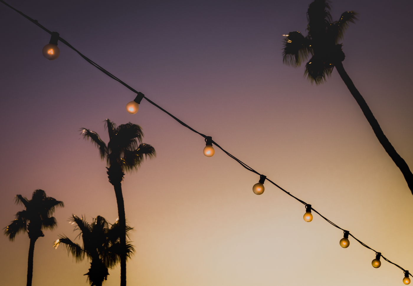 Lichtjes bij een Californische zonsondergang en palmbomen