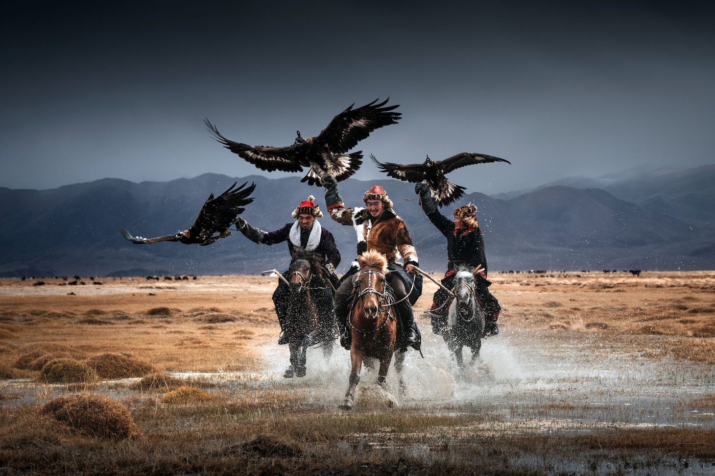 drie ruiters met arenden jagen Mongolië