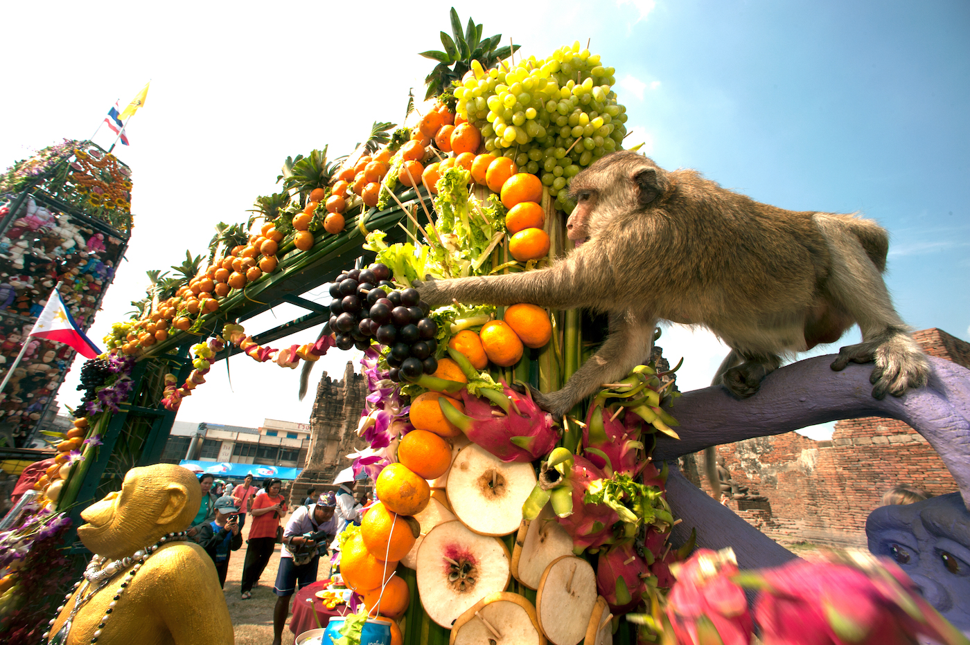 monkey buffet bij tempel in Thailand eten