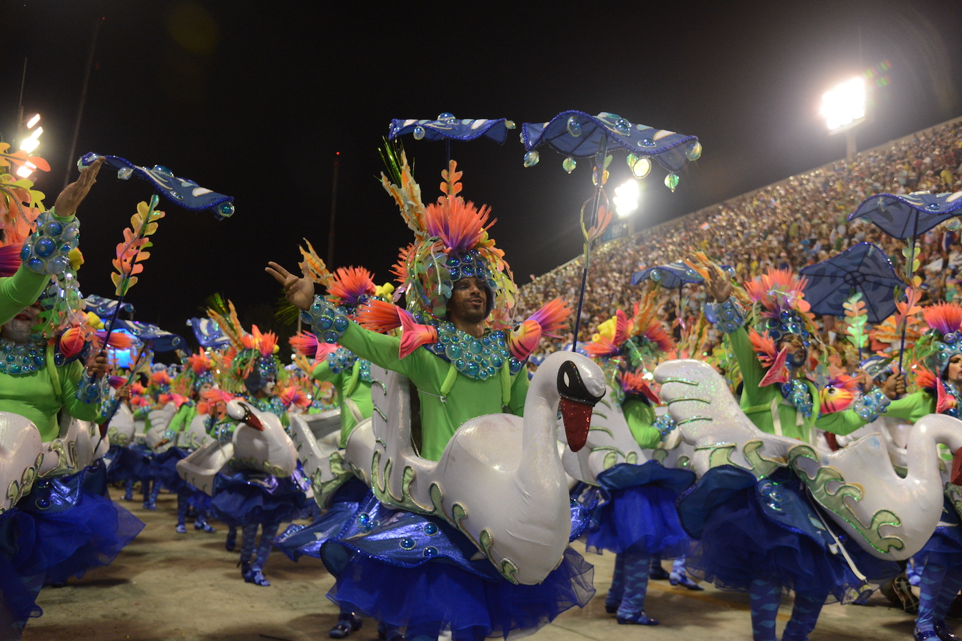 Samba parade zwanen Rio de Janeiro